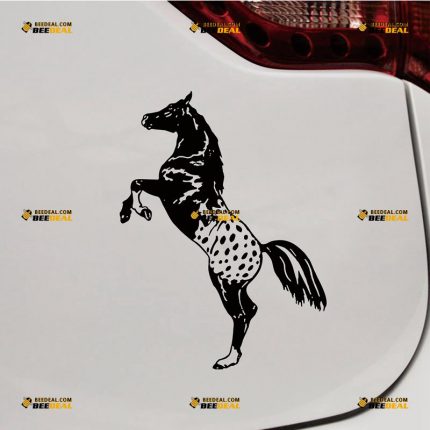 Appaloosa Sticker Decal Vinyl, American Horse – Custom Choose Size Color – For Car Laptop Window Boat – Die Cut No Background 062531704